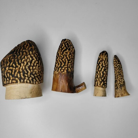 Set of 4 Morel Mushroom Wood Carved Merchroom Forage Mantle Outdoors Fungi Art - Picture 5 of 11
